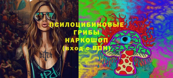 первитин Богородицк