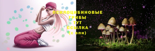 винт Бронницы