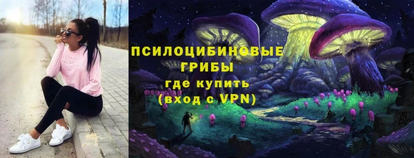 винт Бронницы