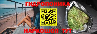 прущие крисы Бердск