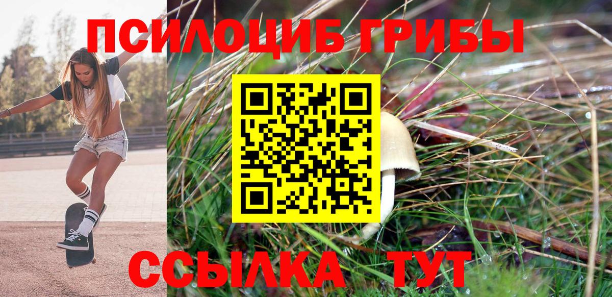 Галлюциногенные грибы Cubensis Гудермес